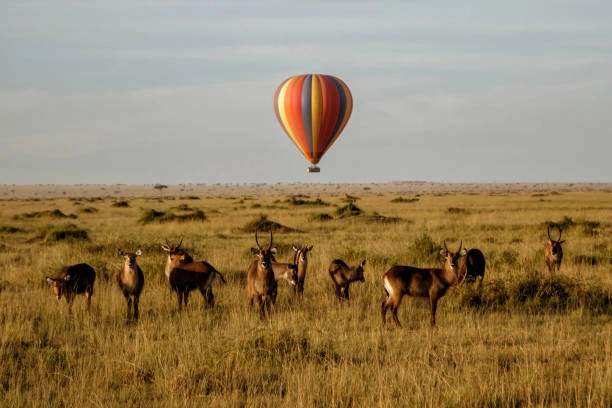air balloon Kenya