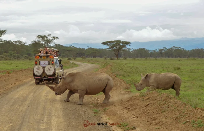 Mombasa day trips