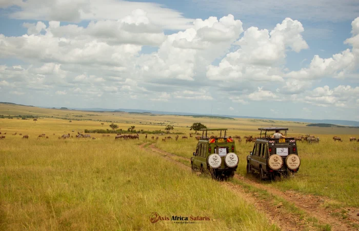 Kenya on a budget 