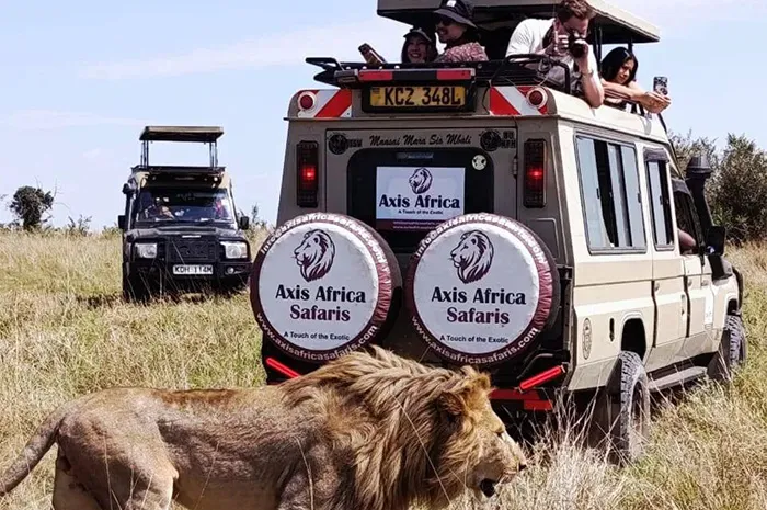 african safari in kenya african safari in kenya