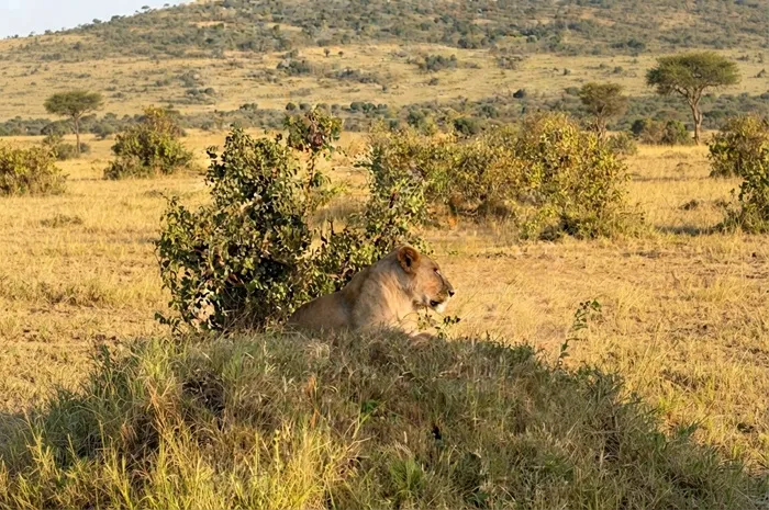 unforgettable kenya holiday packages and kenya travel packages unforgettable kenya holiday packages and kenya travel packages